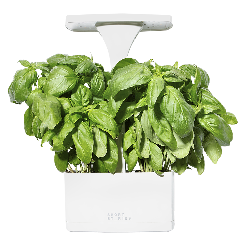 LED Indoor Planter