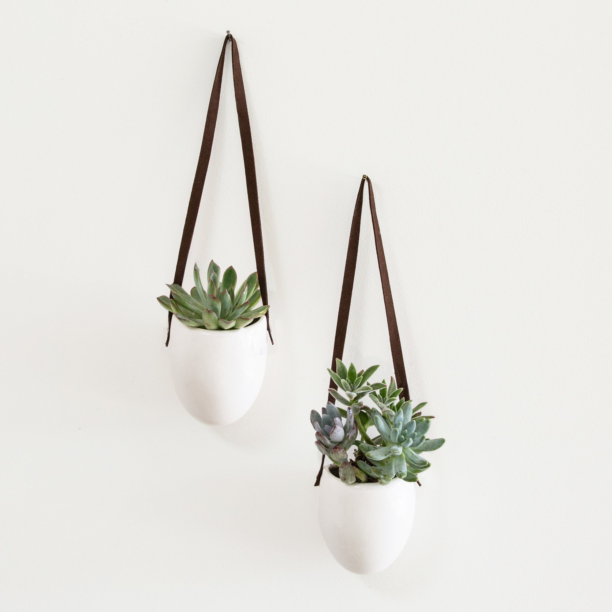 short stories hanging planter Hanging Planter Set